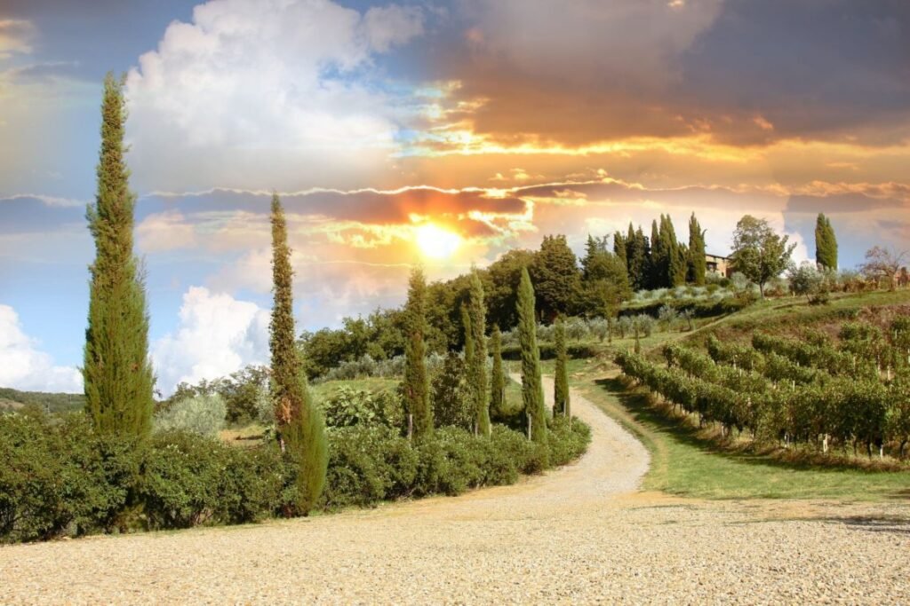 Paisagem de vinhedo em Chianti na Toscana, Itália.