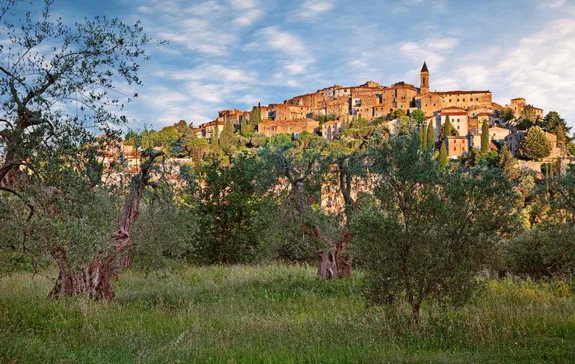 Seggiano- Toscana. 