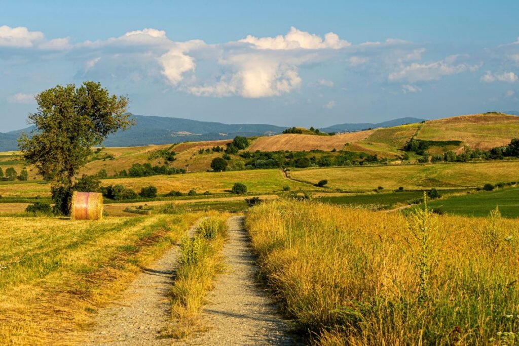 Estrada para Camigliatello, Sila - Calábria, Sul da Itália.